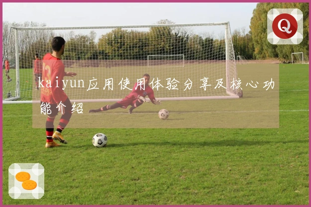kaiyun应用使用体验分享及核心功能介绍